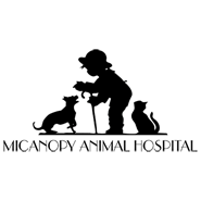 Veterinarian In Micanopy Fl Trusted Vet Local Animal Hospital